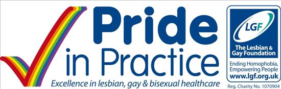 Pride_in_Practice_Logo[1].jpg